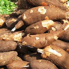 Cassava & Derivatives 1